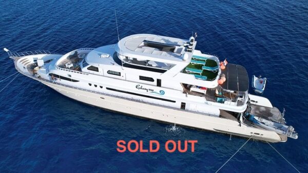 Egypt e-Foil <br> Yacht Trip <br> 01.11.2025- 08.11.2025